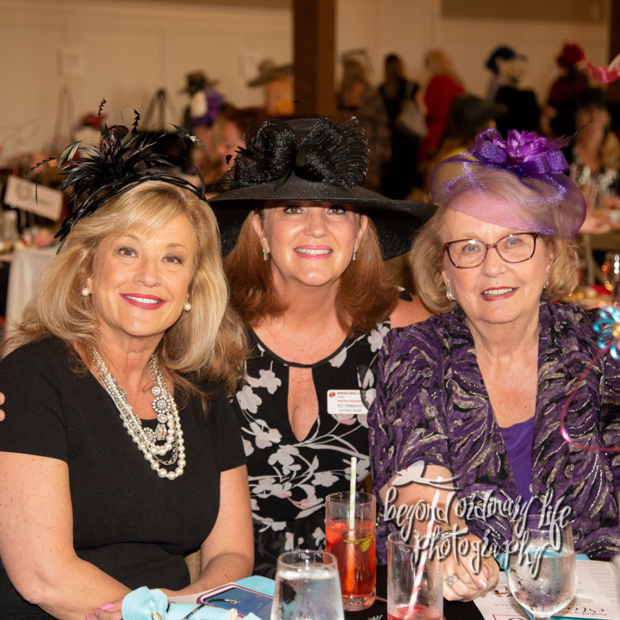 Dress For Success Hats and Handbags Event Photography Laurie Biby